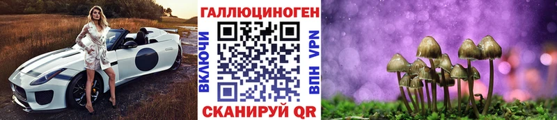Купить где  Салаир  Псилоцибиновые грибы мицелий 