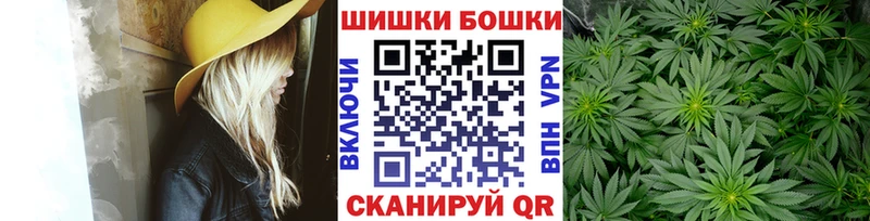 Купить где  Салаир  Бошки Шишки ГИДРОПОН 
